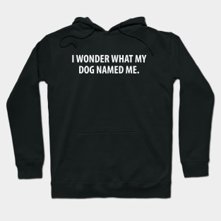 What My Dog Named Me Hoodie